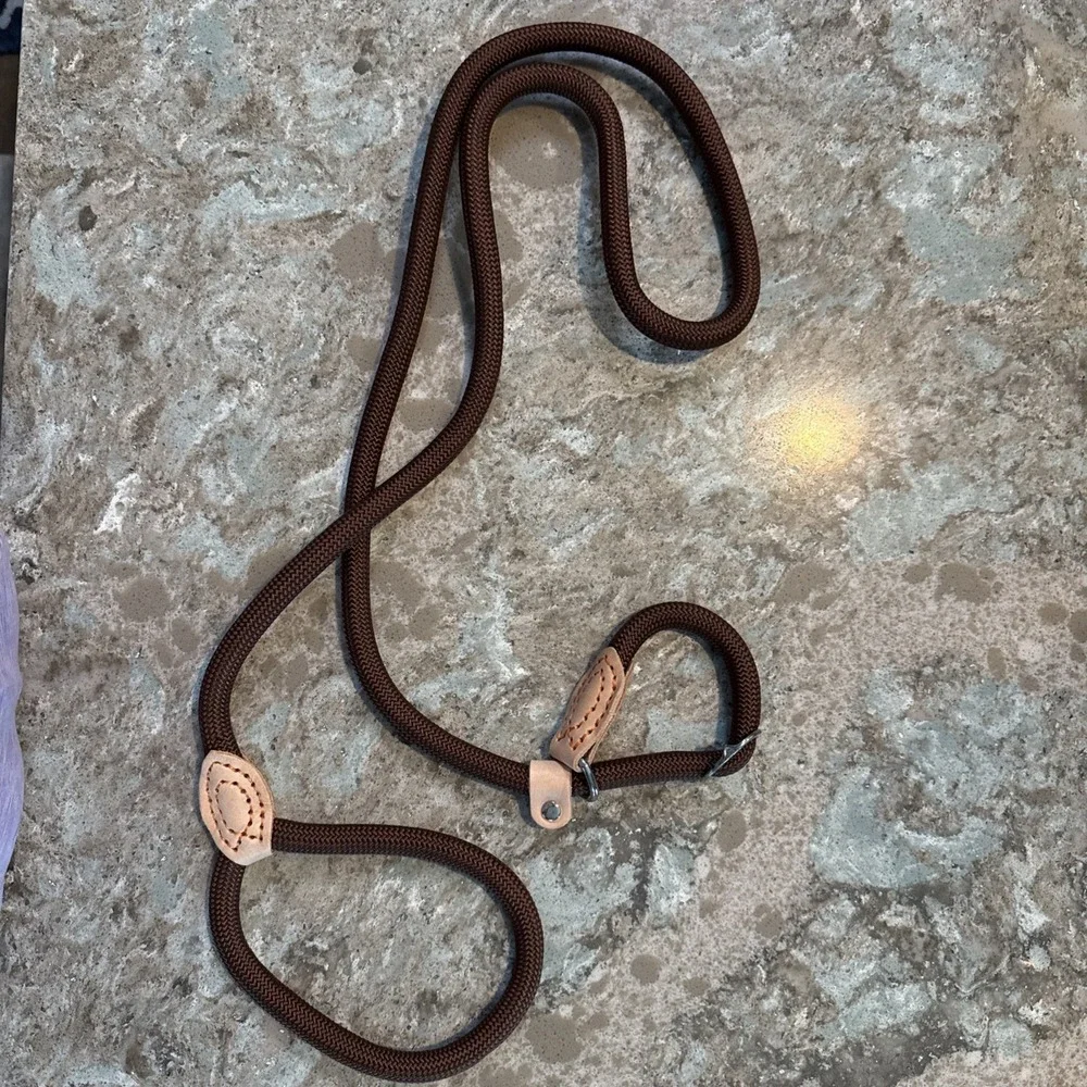 5' Nylon Leather Slip Lead Dog Leash Brown Dog Training Walking Exercise